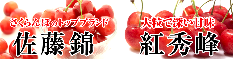 さくらんぼ