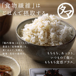 [九州産]大麦 500g・1kg