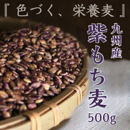 [九州産]紫もち麦 500g