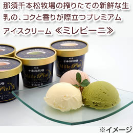 [那須 千本松牧場] いちごのレアチーズケーキセット No4419