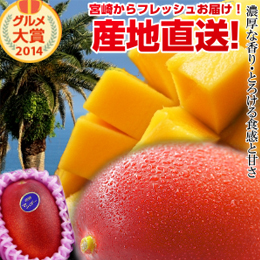 [宮崎産]完熟マンゴー　約400g/玉