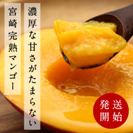 [宮崎産]完熟マンゴー　約400g/玉