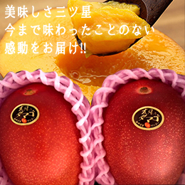[宮崎産]太陽のタマゴ　約350g/玉