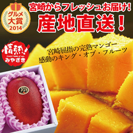 [宮崎産]太陽のタマゴ　約350g/玉