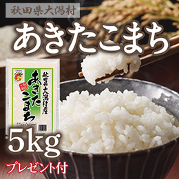 あきたこまちカントリー米　５ｋｇ　2023年9月お届け分