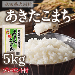 あきたこまちカントリー米　５ｋｇ　2023年9月お届け分