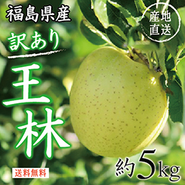 [福島県産]王林(林檎)(訳あり)約5kg