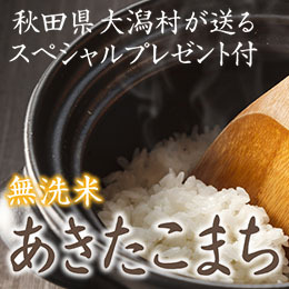 あきたこまち無洗米　５ｋｇ　2023年10月お届け分