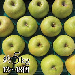 [福島県産]王林(林檎)(訳あり)約5kg