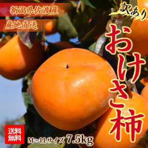 [佐渡産]マルハ おけさ柿【訳あり】 M〜LL 7.5kg