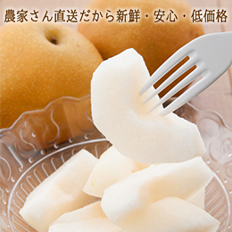 [栃木県産]幸水梨 約5ｋｇ