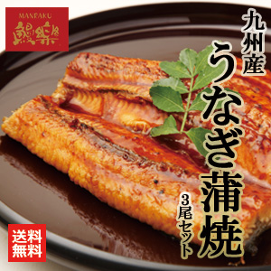 九州産　うなぎ蒲焼3尾