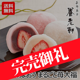 京都 養老軒 博多あまおう まるごと苺大福(YF-ADO)
