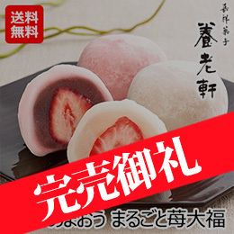 京都 養老軒 博多あまおう まるごと苺大福(YF-ADO)