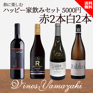 [ヴィノスやまざき]春に楽しむハッピー家飲みセット5000円　赤2白2