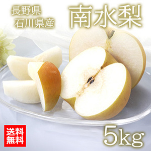 ［長野県・石川県産］南水梨　約5kg