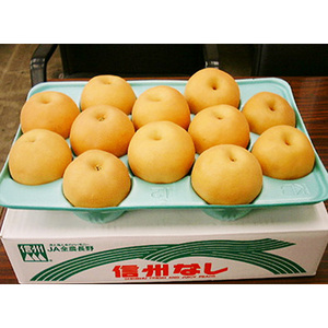 ［長野県・石川県産］南水梨　約5kg