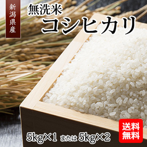 【都度お届け】[新潟県産]無洗米コシヒカリ