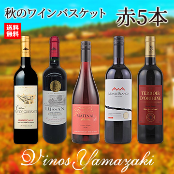[ヴィノスやまざき]秋のワインバスケット　赤5本セット
