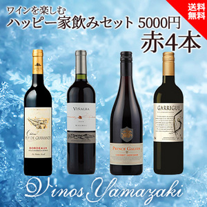 [酒]ワインを楽しむハッピーセット 5000円 赤4