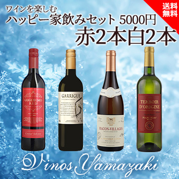 [ヴィノスやまざき]ワインを楽しむハッピーセット 5000円 赤2白2