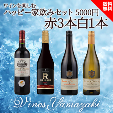 [ヴィノスやまざき]ワインを楽しむハッピーセット 5000円 赤3白1
