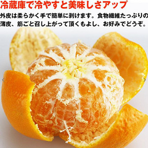 【5月下旬以降のお届け予定】[高知県産]山北ハウスみかん