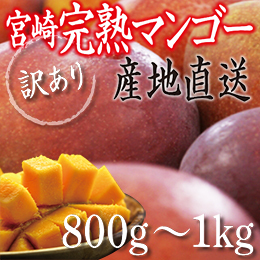 【廃止】[宮崎産]訳あり完熟マンゴー