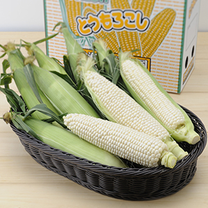 ■北海道産とうもろこし（ホワイト）