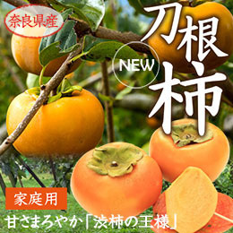 [奈良県産]刀根柿