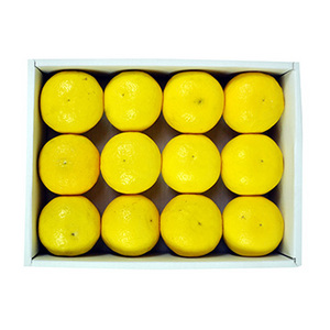 ★[宮崎県産] 日向夏（2.5kg）