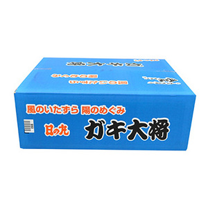 ★[愛媛県産] 日の丸みかん「ガキ大将」（5kg）