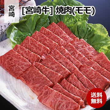 [宮崎 宮崎牛] 焼肉(モモ) 500g