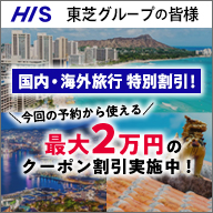 HIS 国内・海外