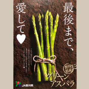 【香川県オリジナルアスパラガス】さぬきのめざめ（セミロング）春芽 約1kg