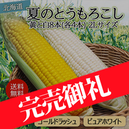 予約販売！北海道 夏のとうもろこし【秀品】黄と白8本(各4本)