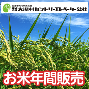 2024年11月からお届けのお米年間販売　大潟村カントリーエレベーター公社
