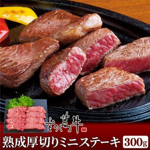 [肉匠さの萬] 熟成厚切りミニステーキ300g san-mt-001