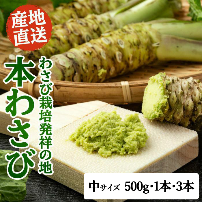 本わさび 中サイズ (1本40g〜60g)