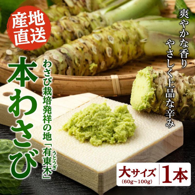 本わさび 大サイズ 1本(60g〜100g) was-d-001