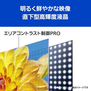パナソニック 液晶テレビ４Ｋ TH55MX800
