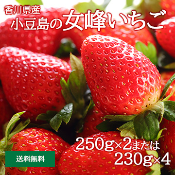 [香川県産]小豆島の女峰いちご