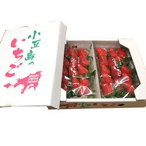 [香川県産]小豆島の女峰いちご