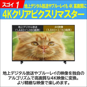 ＜FUNAI＞ フナイ 液晶テレビ４Ｋ FL55U3060