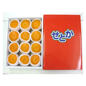 【2月上旬以降のお届け予定】[香川県産] せとか 約3kg 化粧箱入