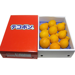 【2月上旬以降のお届け予定】[香川県産] デコポン 約3kg 秀品 大玉 化粧箱入