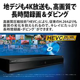 シャープ 4B-C20EW3 AQUOS 4Kレコーダー ダブルチューナー 2TB