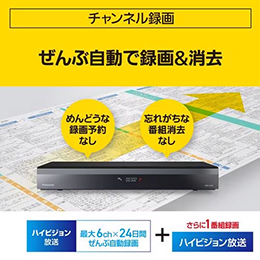 パナソニック DMR-2X302 ブルーレイディスクレコーダー 全自動DIGA 