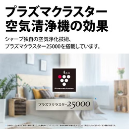 シャープ KI-SS50 プラズマクラスター25000搭載 加湿空気清浄機 ホワイト系