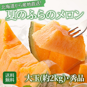 【7月末以降のお届け予定】北海道富良野産 夏のふらのメロン【秀品】 大玉